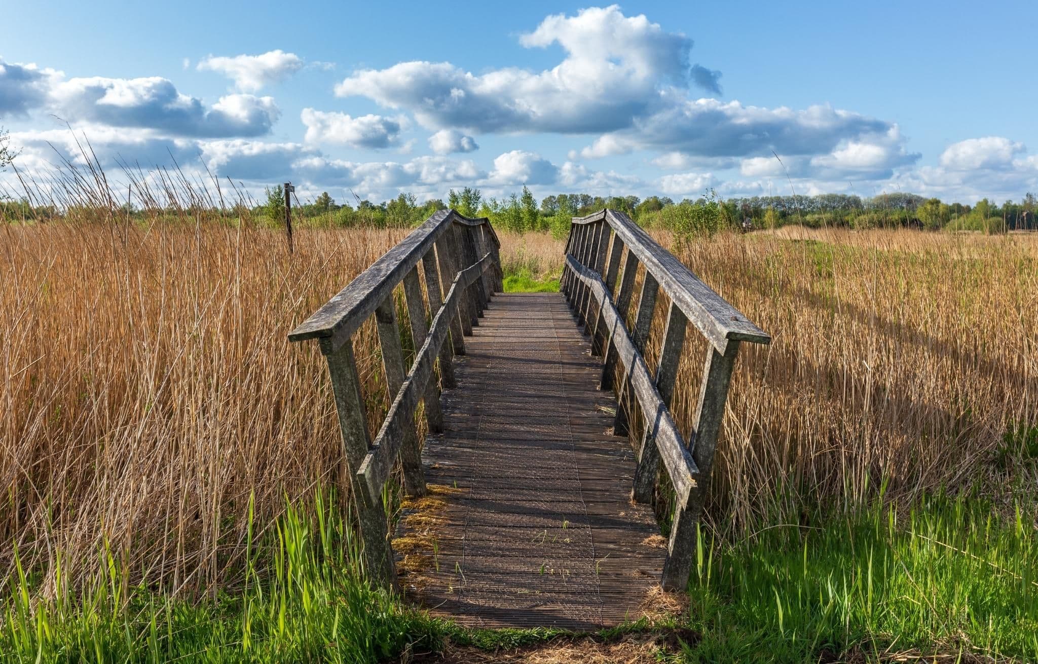 National Park De Alde Feanen
