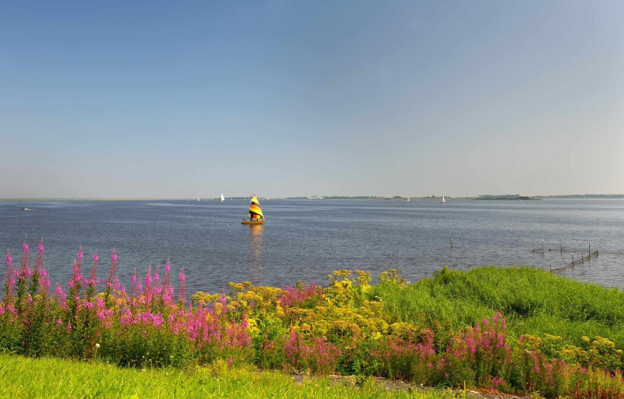 National Park Lauwersmeer