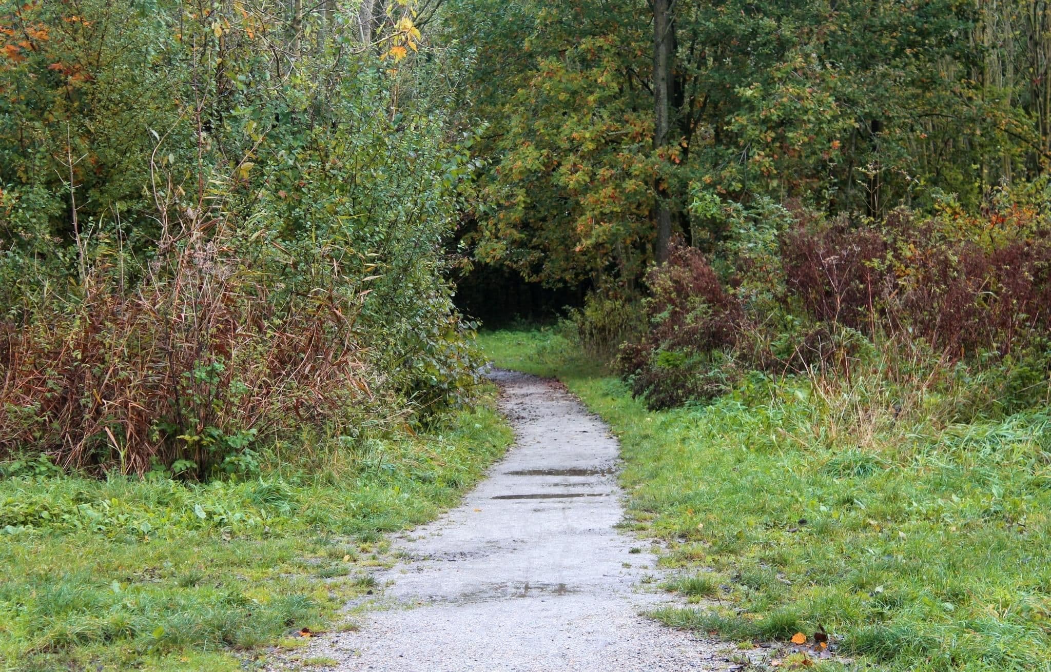 Marked hiking trails