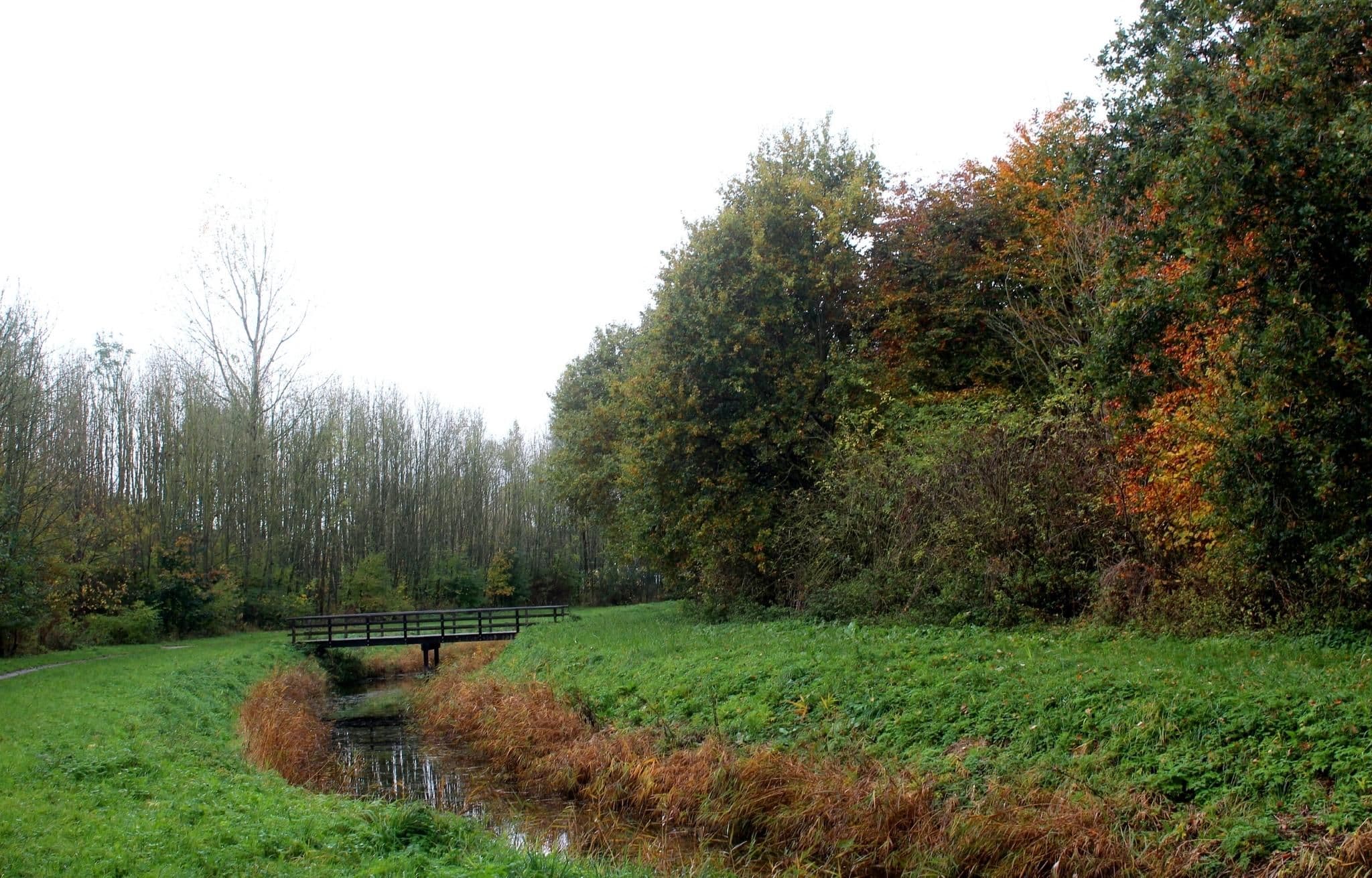 Winter Walks Friesland