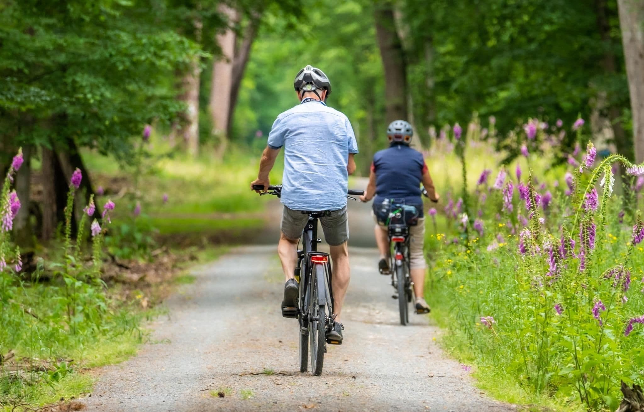 Cycling Routes Friesland